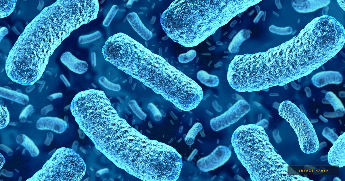 Silent E. Coli Outbreaks: Critics Warn Federal Food Safety Oversight is Crumbling