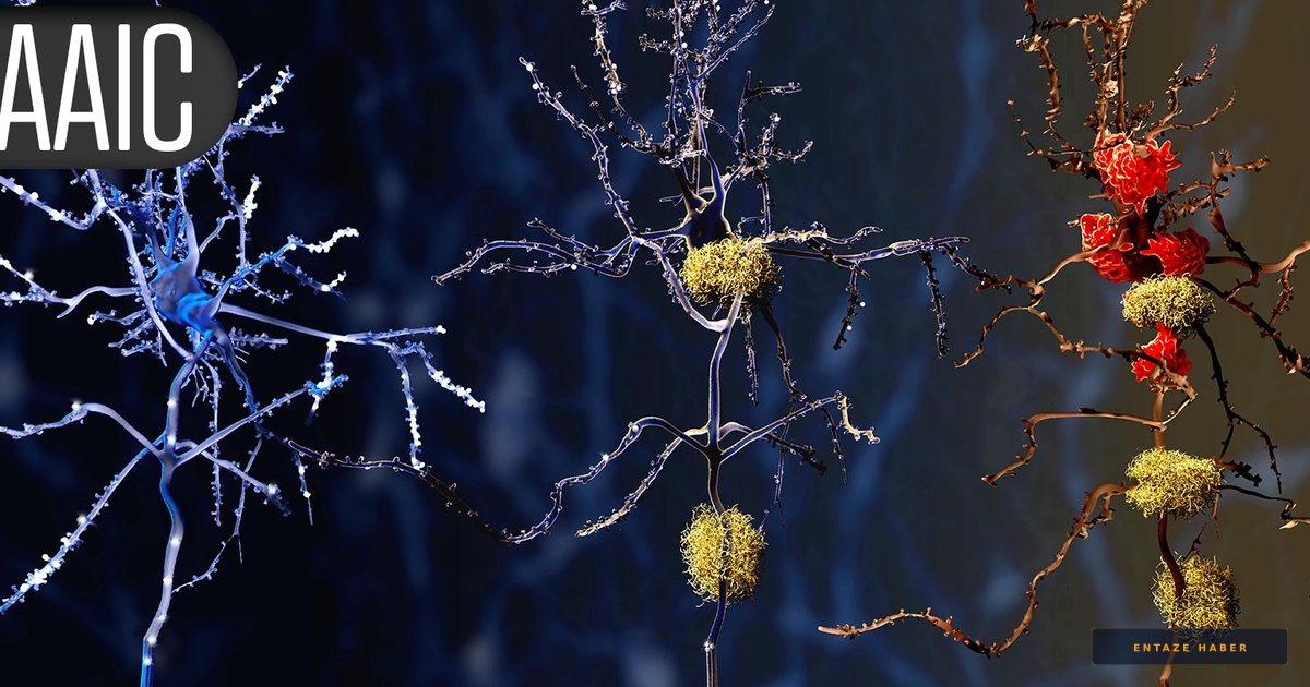 Dementia Risk Isn't Global: New Study Reveals Why Local Prevention Strategies Are Essential