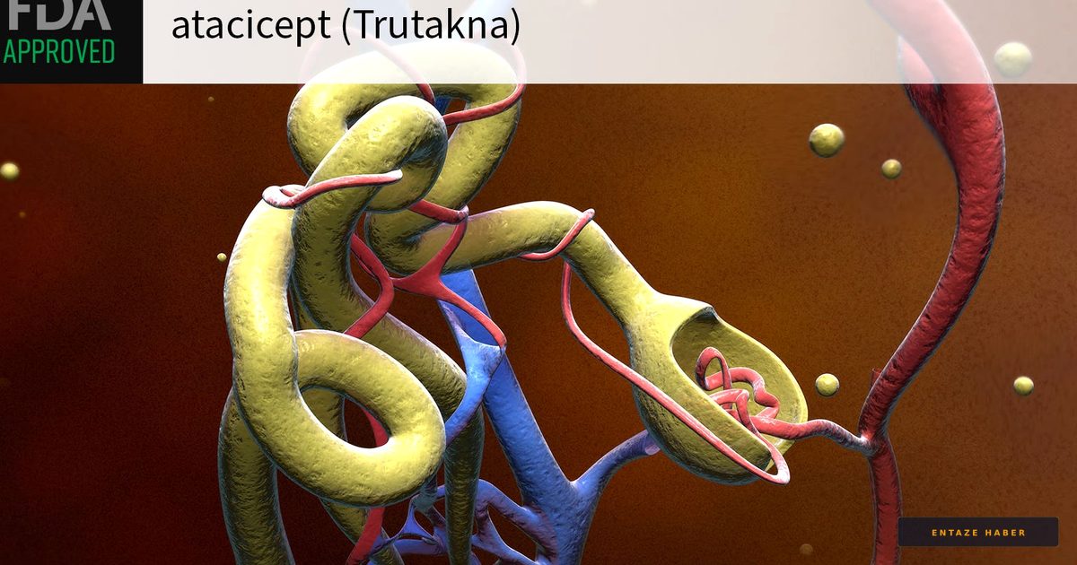 FDA Grants Landmark Approval for Novel IgA Nephropathy Treatment Trutakna