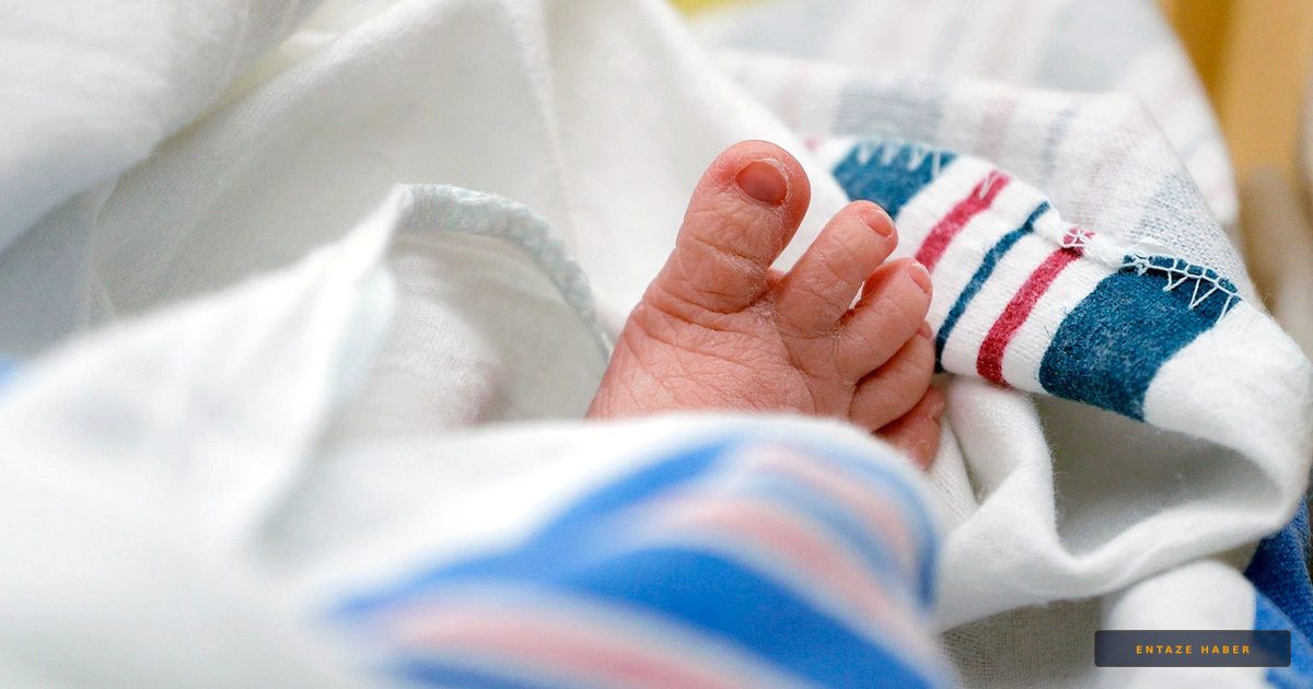 US Infant Mortality Hits Record Low: What the New CDC Data Means for Families